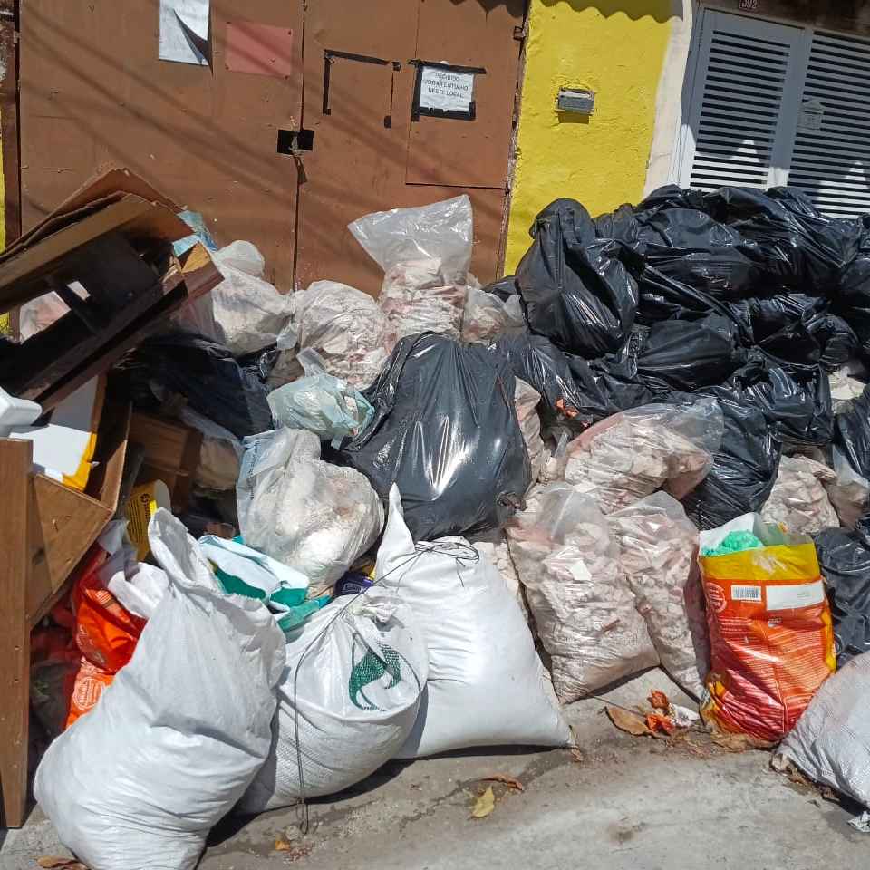Imagem da publicação