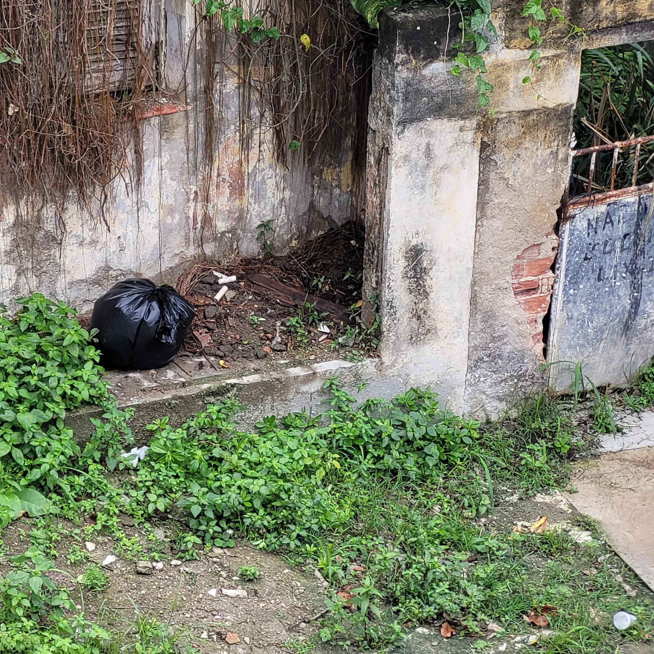 Imagem da publicação