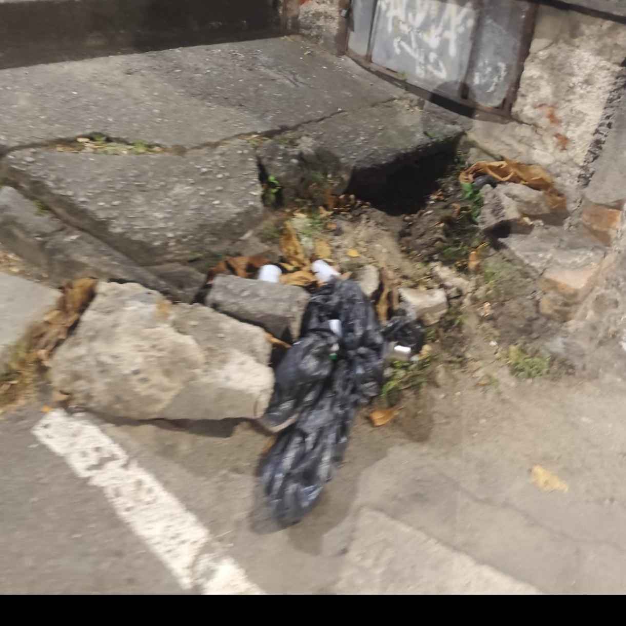 Imagem da publicação