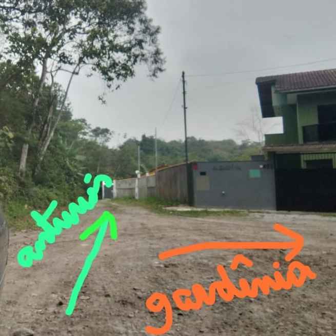 Imagem da publicação