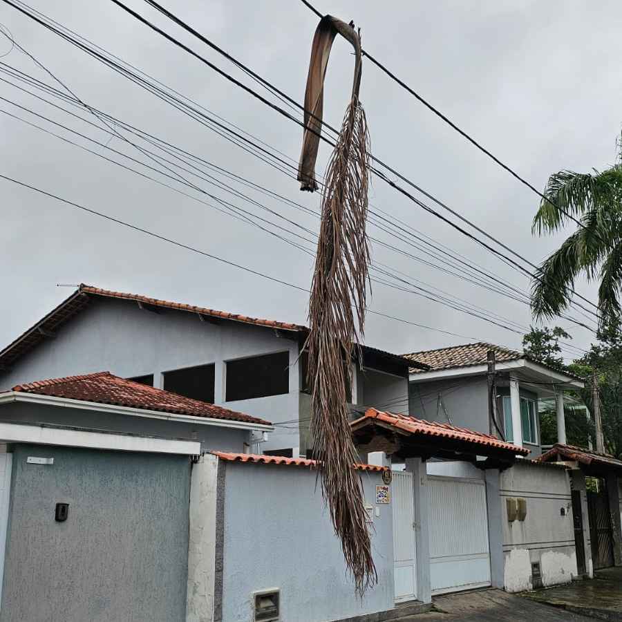 Imagem da publicação