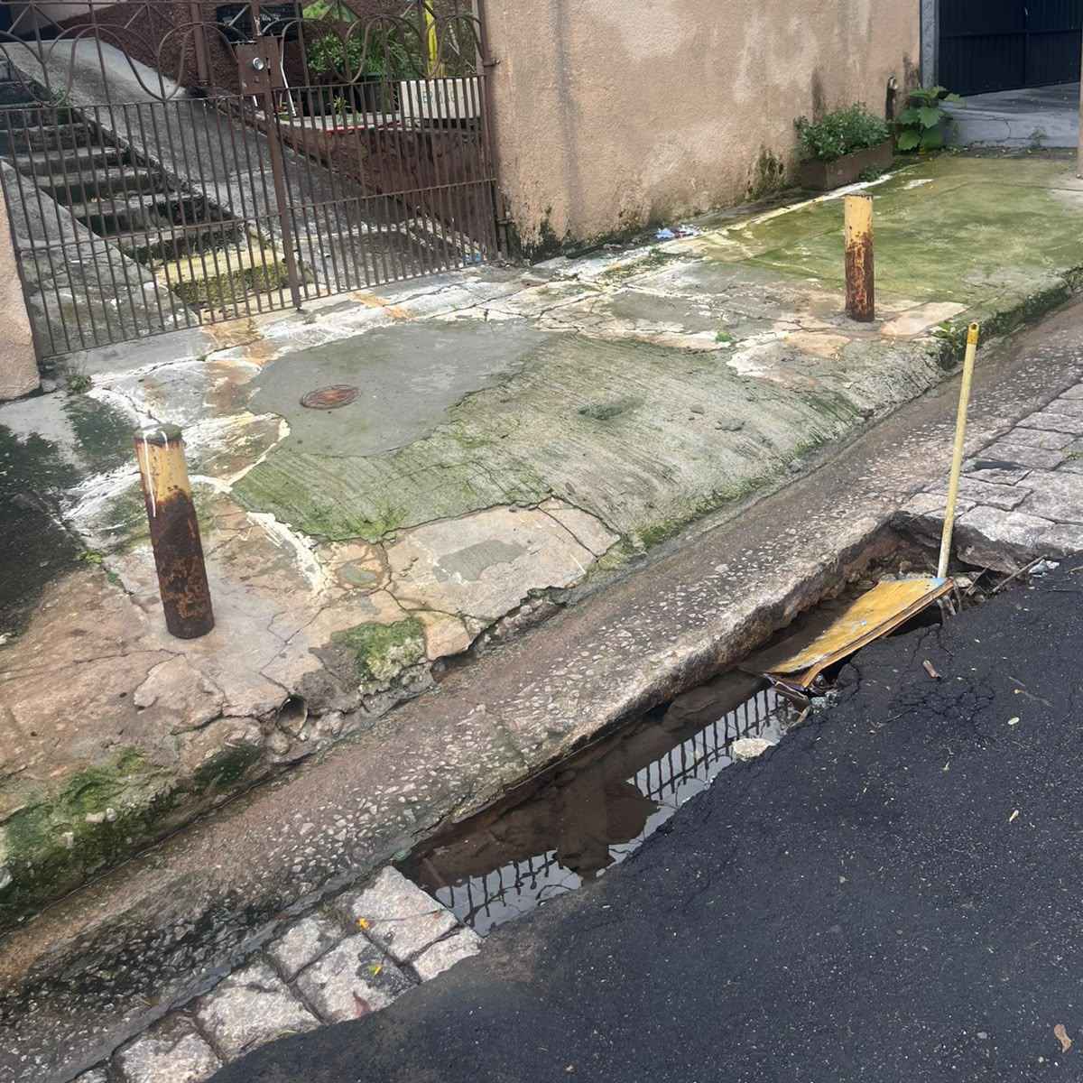 Imagem da publicação
