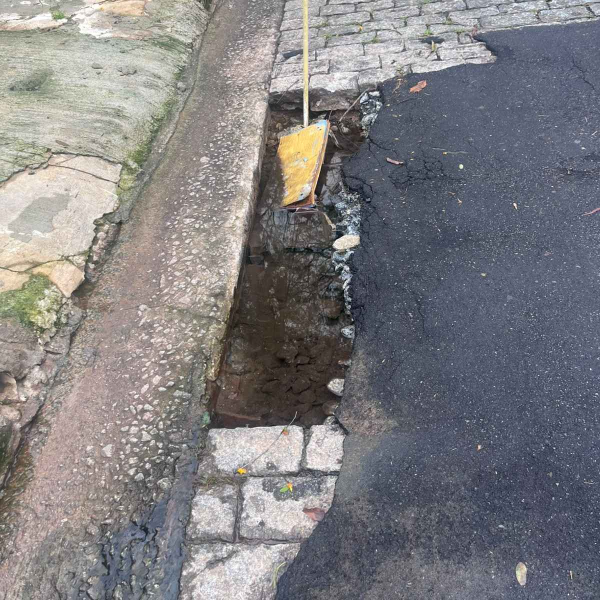 Imagem da publicação