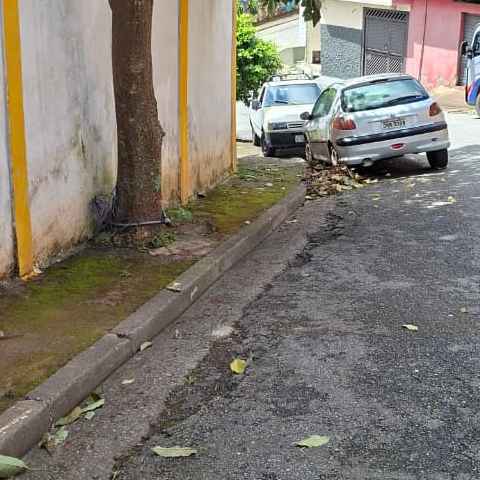 Imagem da publicação
