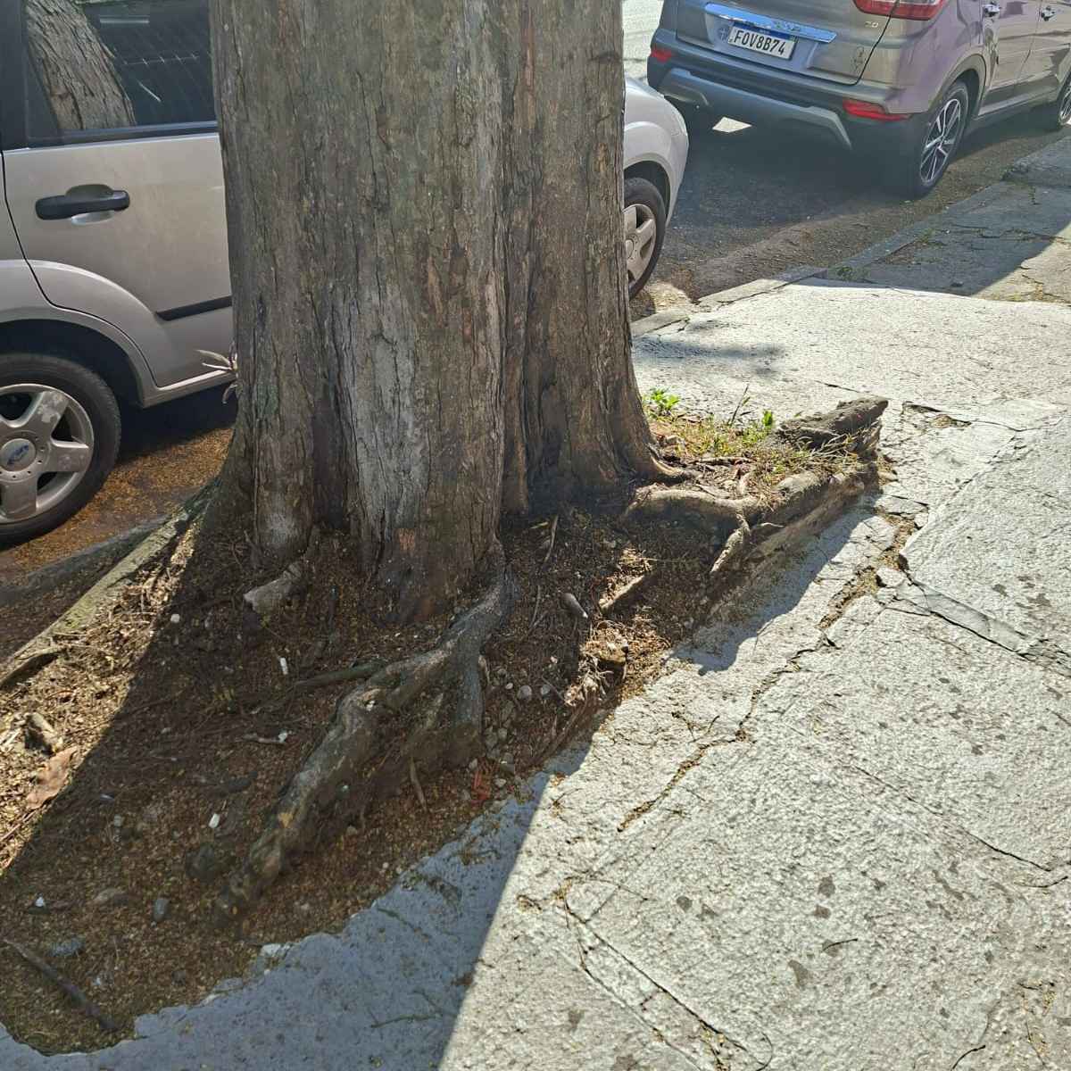 Imagem da publicação