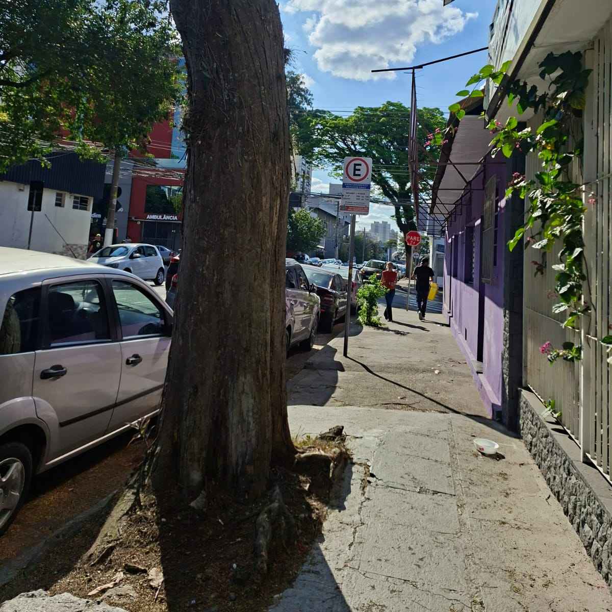 Imagem da publicação