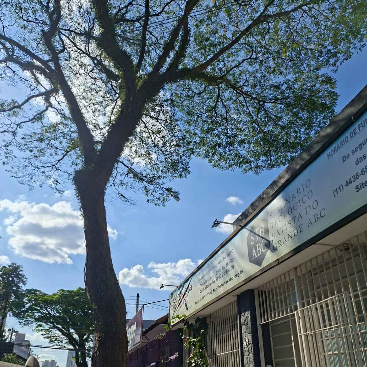 Imagem da publicação