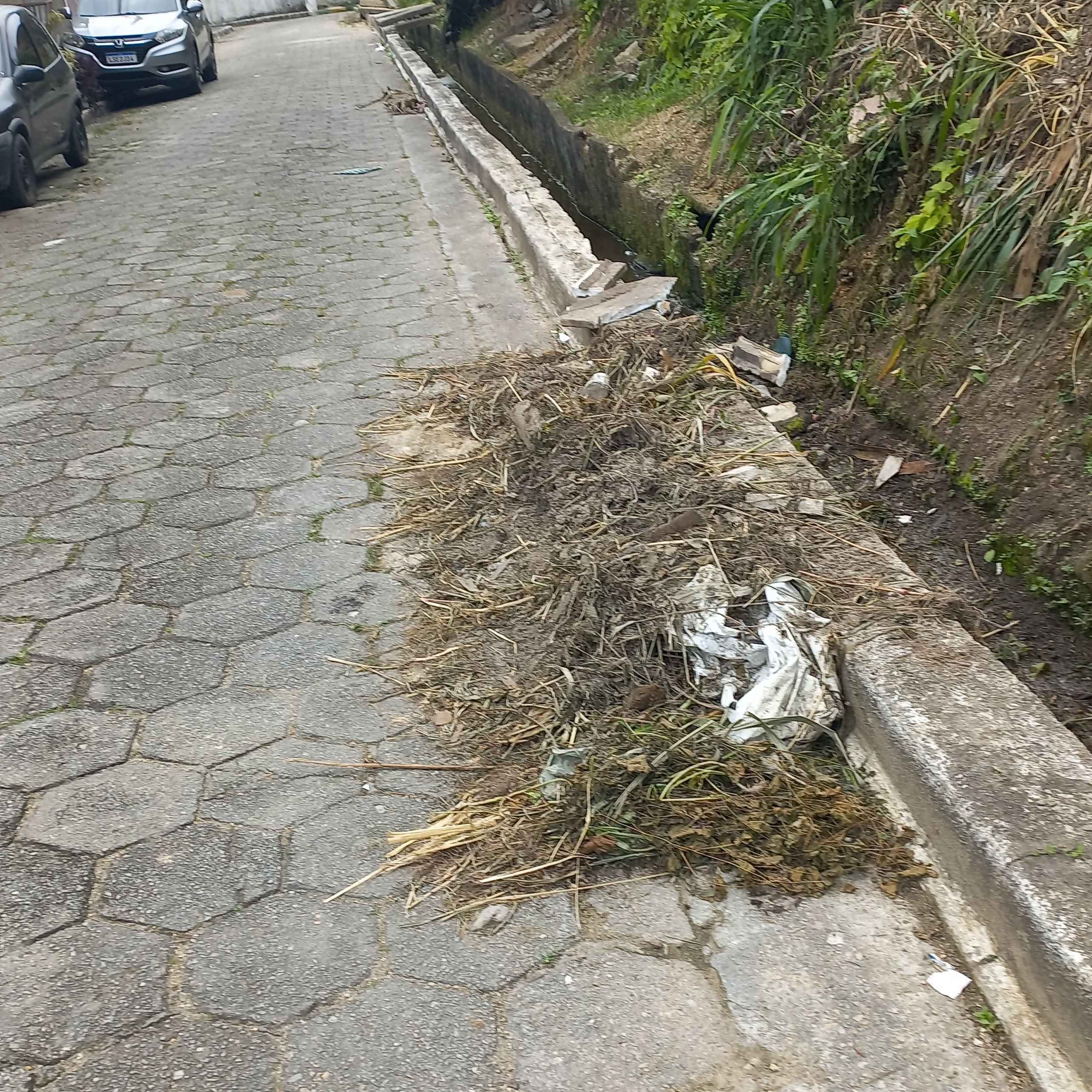 Imagem da publicação