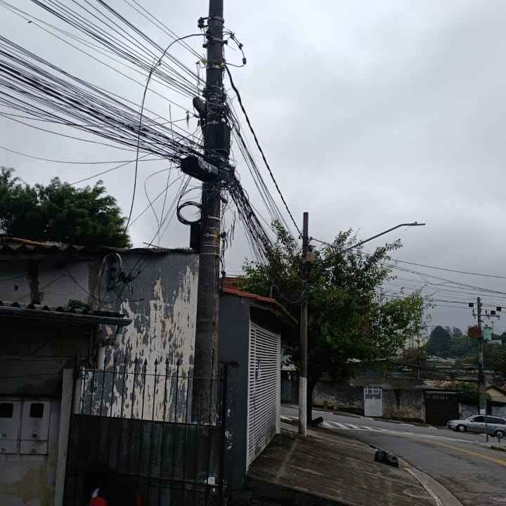 Imagem da publicação