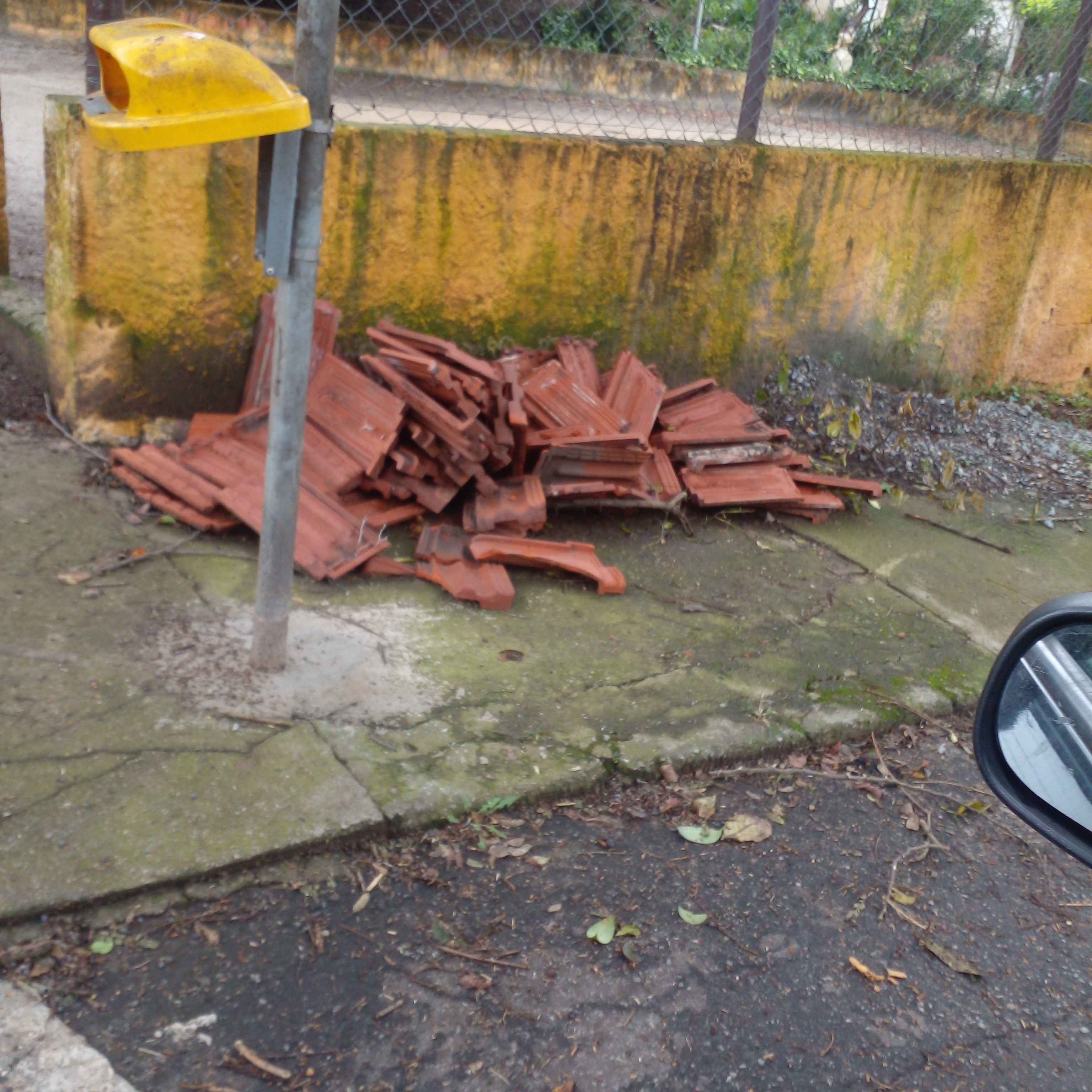 Imagem da publicação