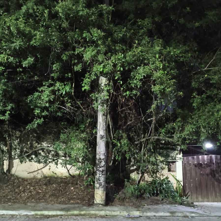 Imagem da publicação