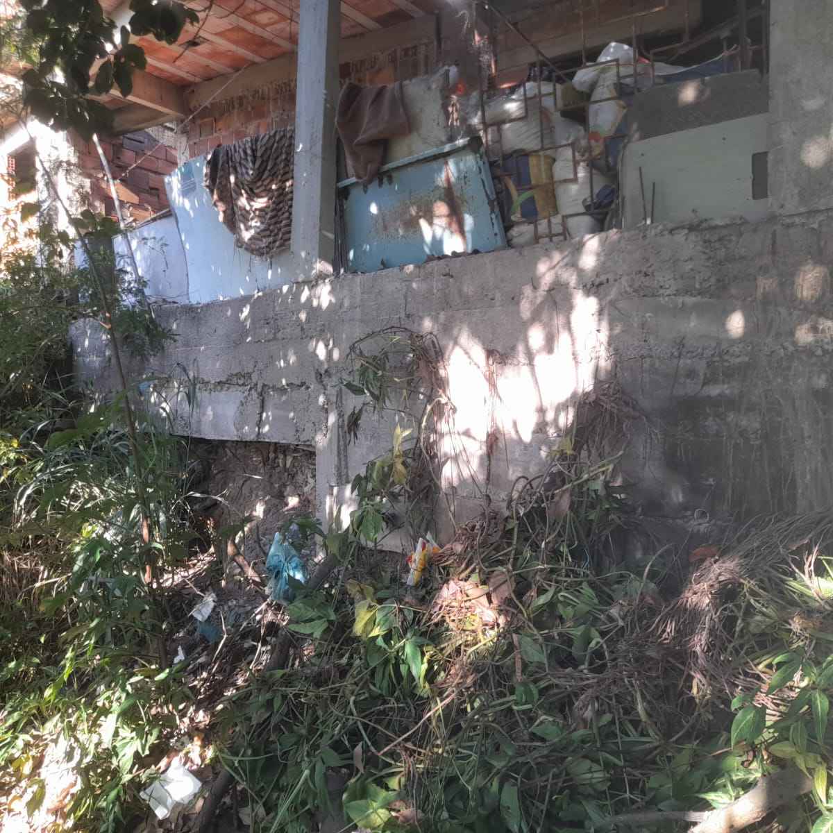 Imagem da publicação