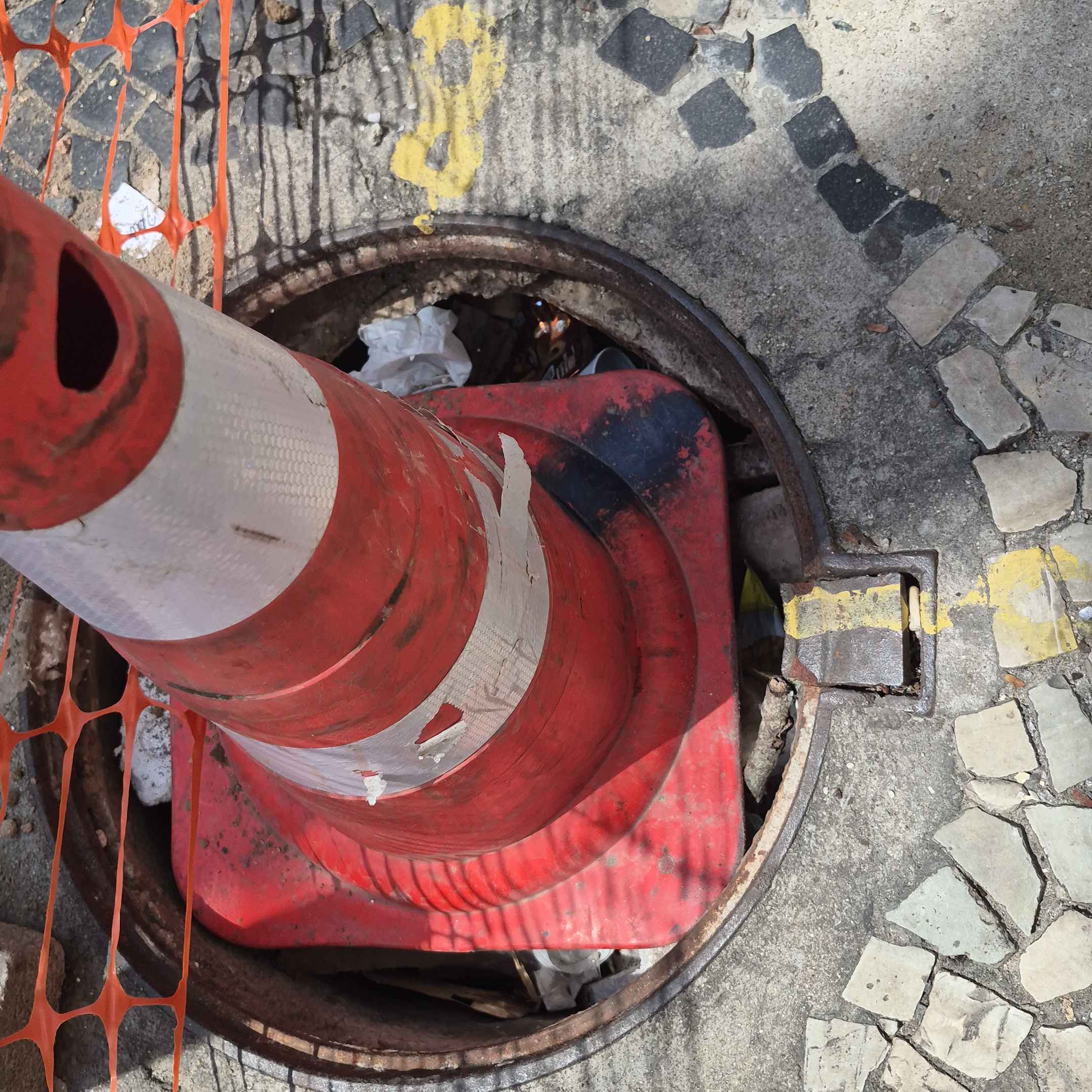 Imagem da publicação