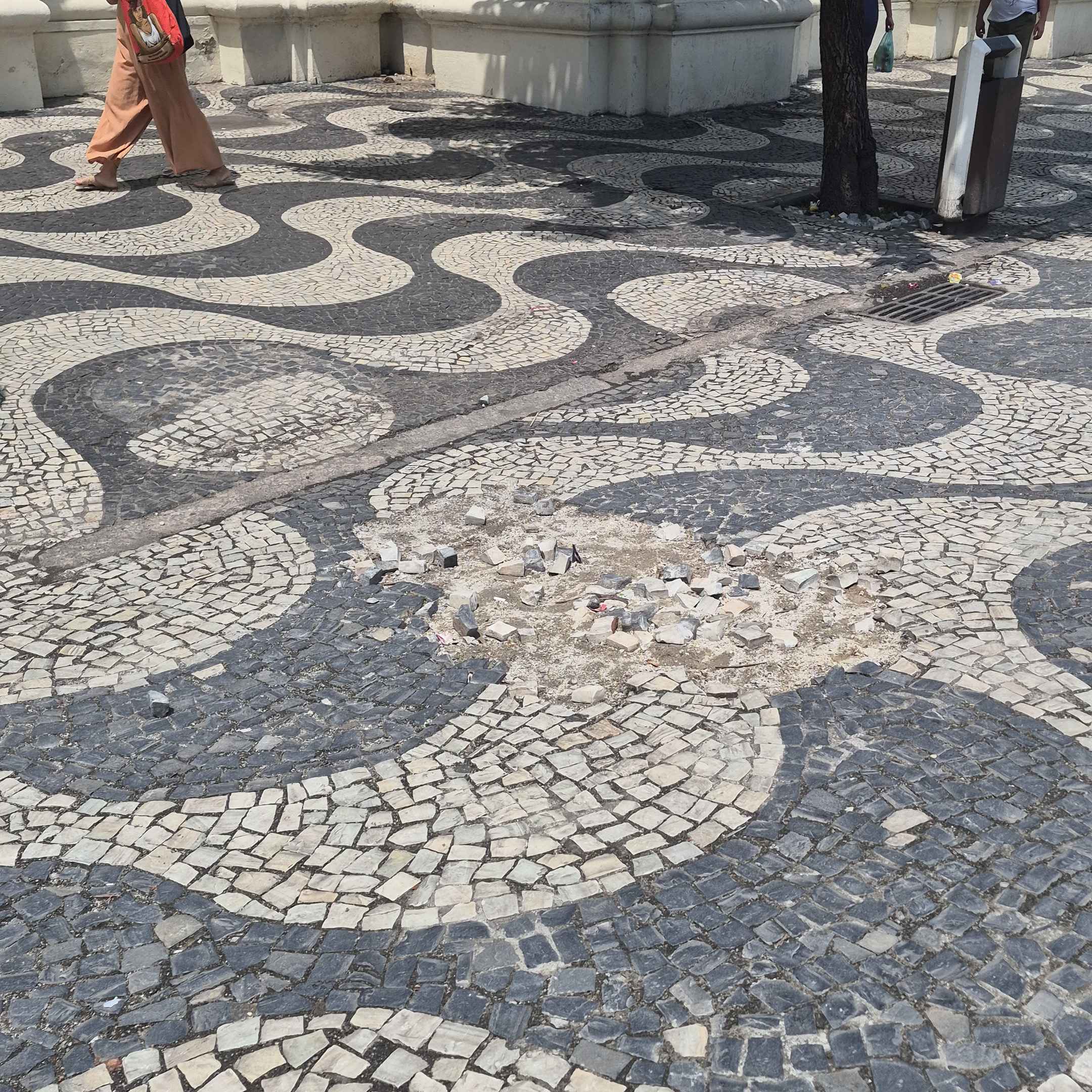 Imagem da publicação