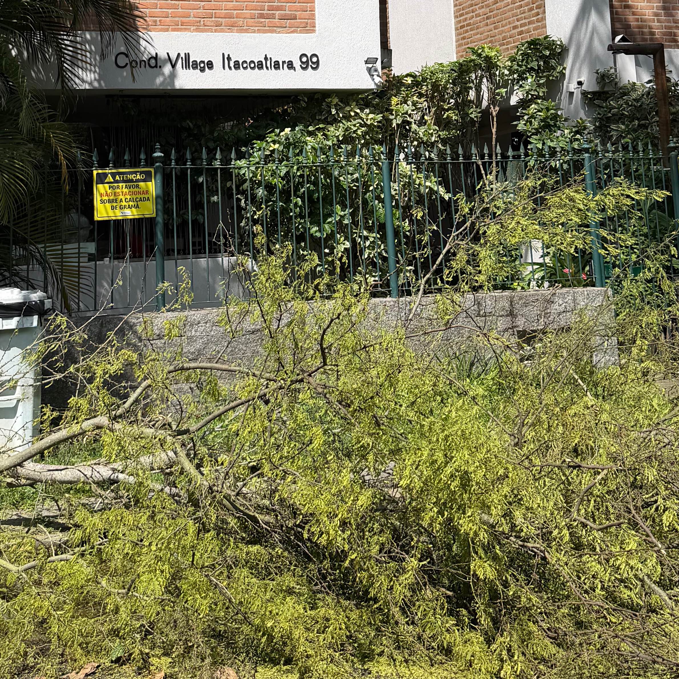Imagem da publicação