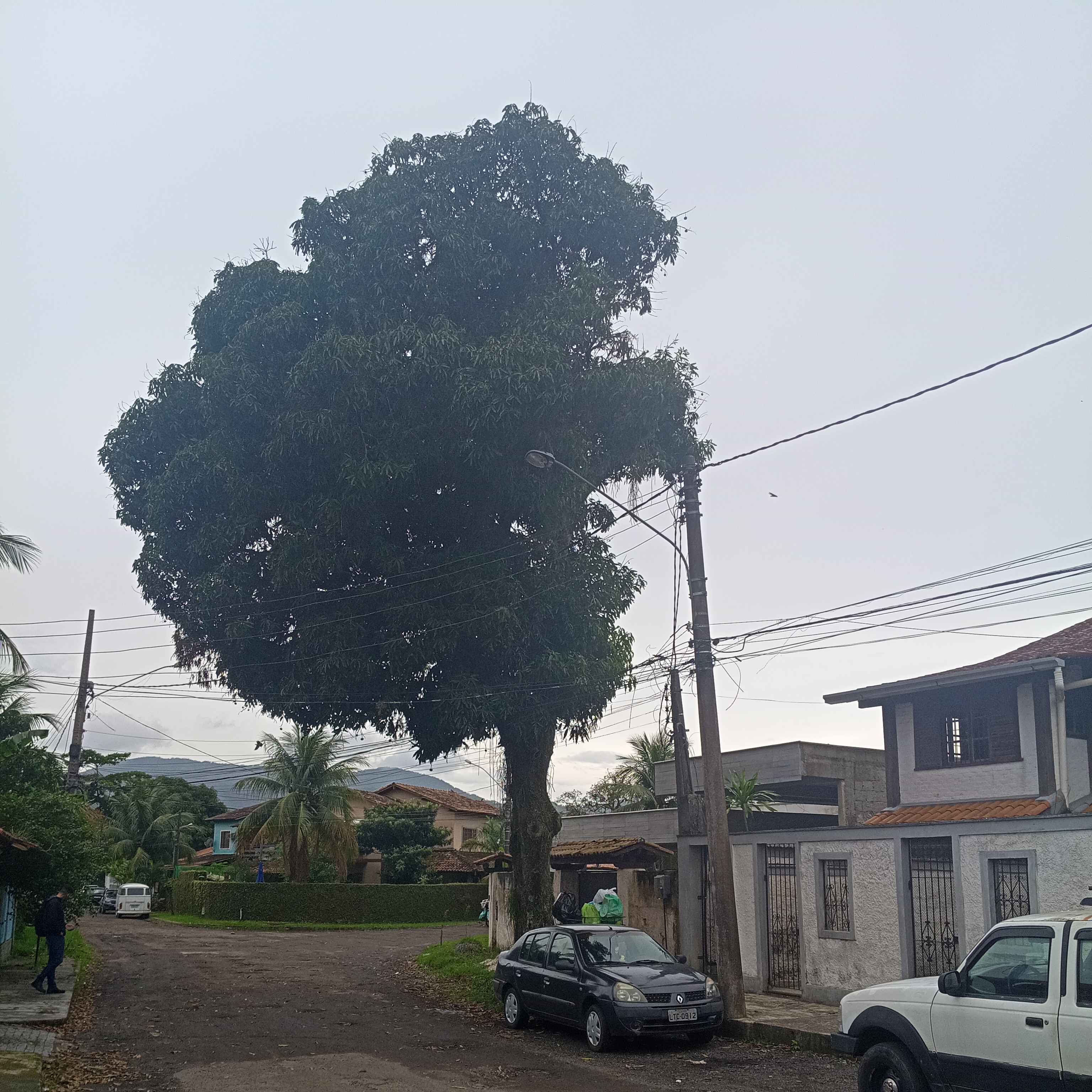 Imagem da publicação