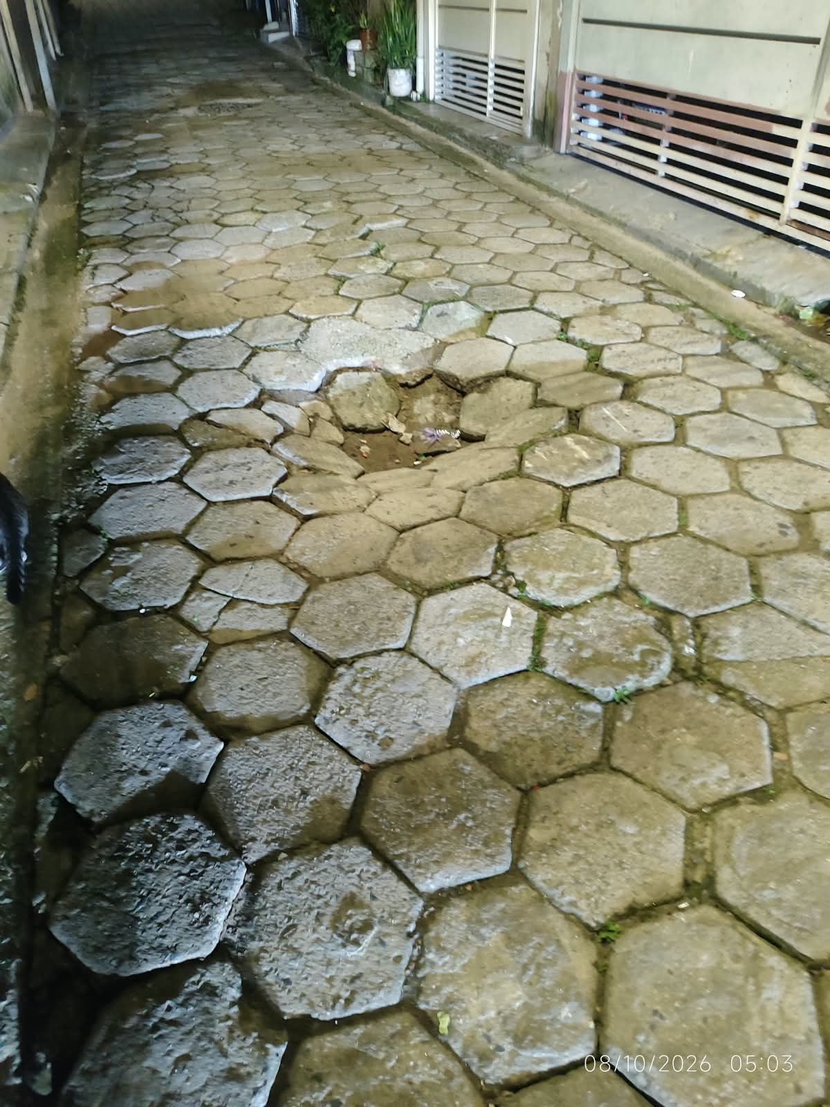 Imagem da publicação
