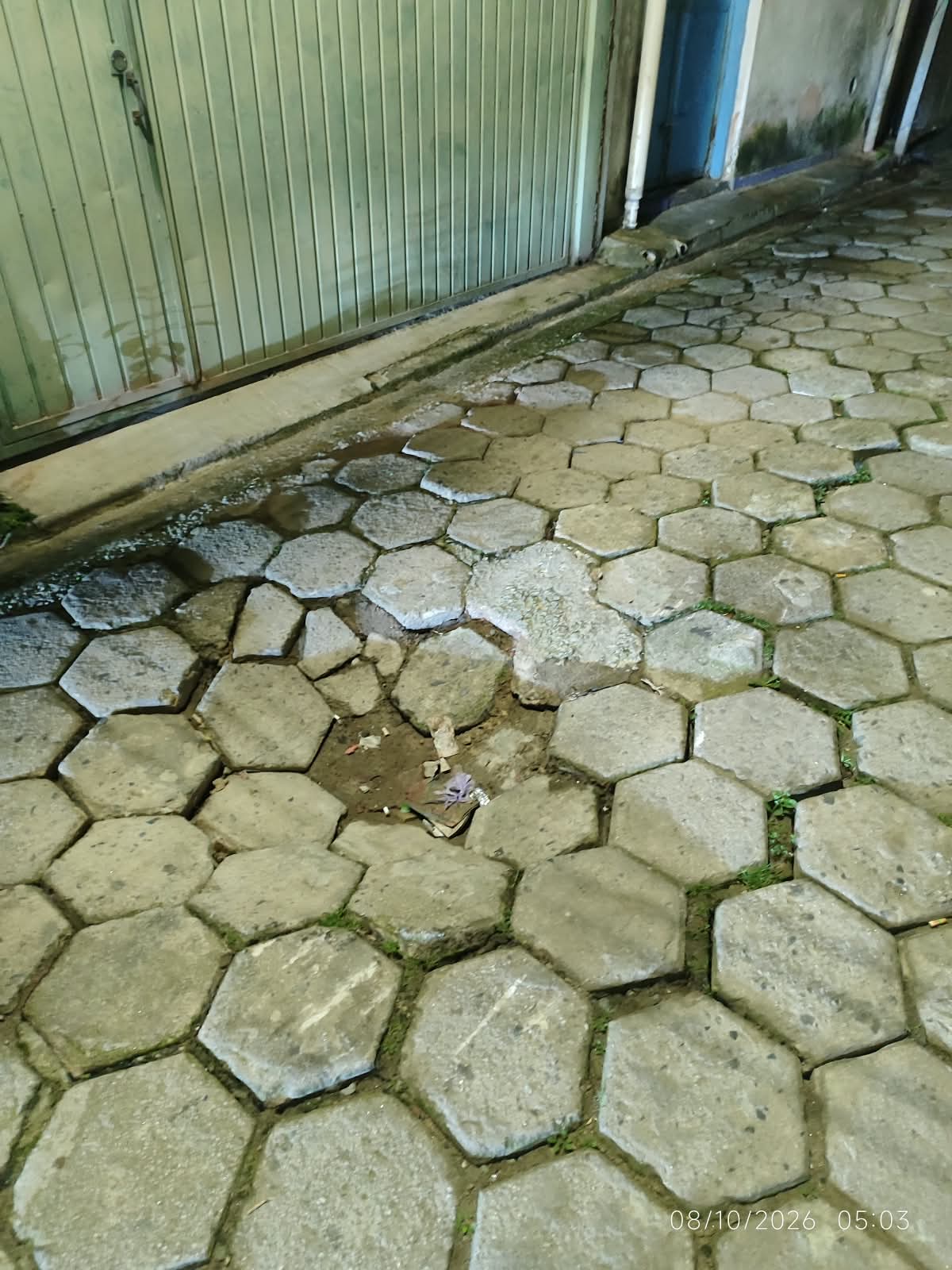 Imagem da publicação