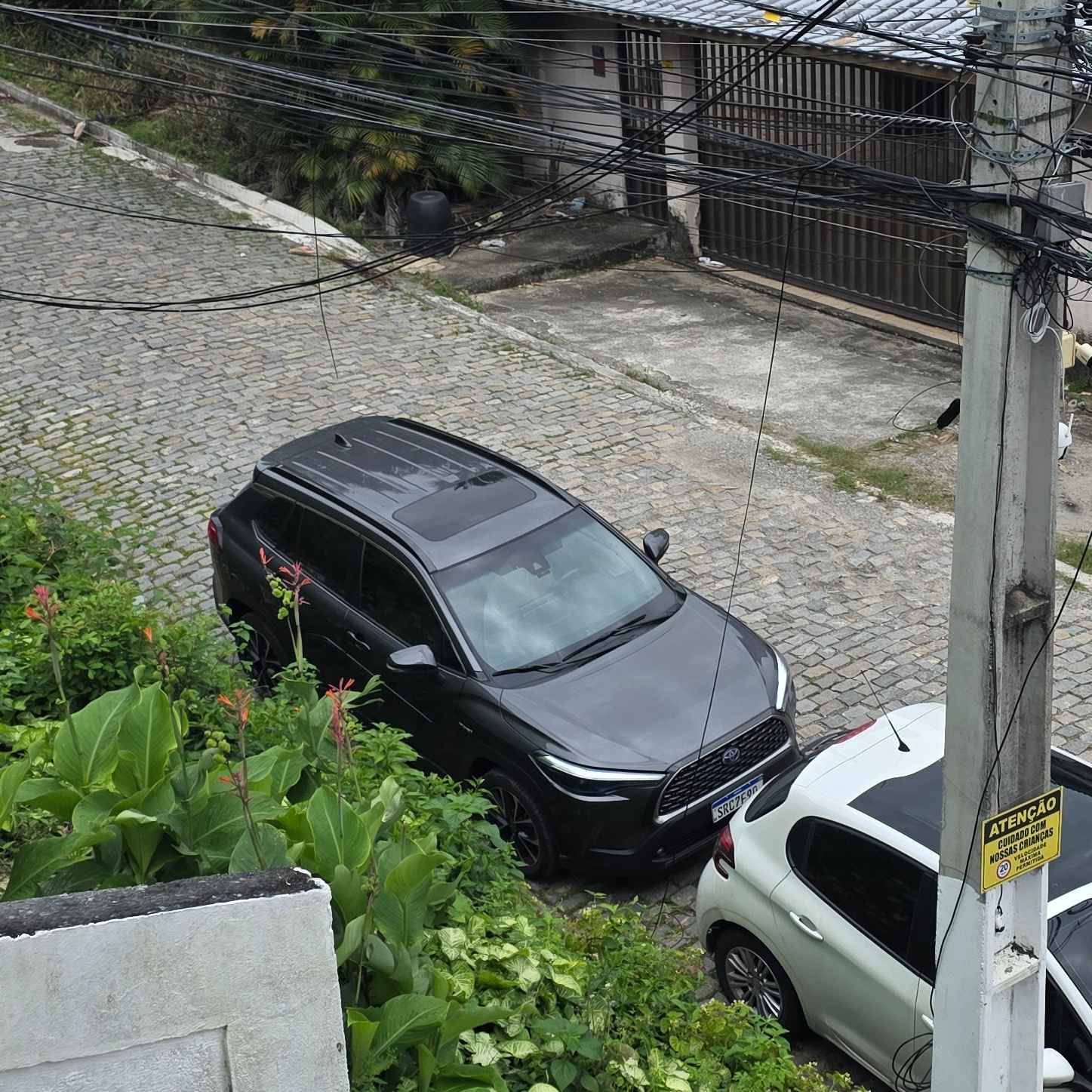 Imagem da publicação