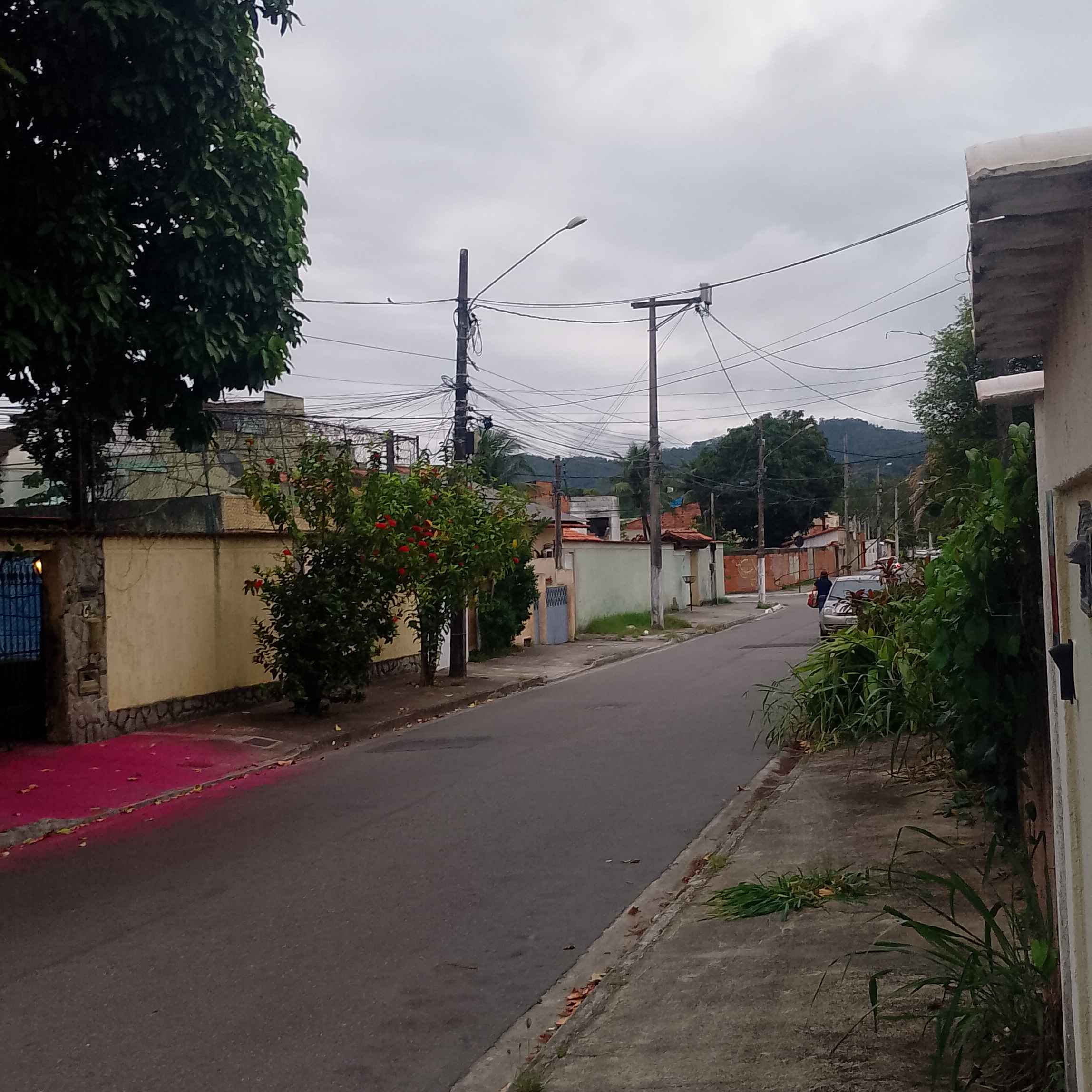 Imagem da publicação