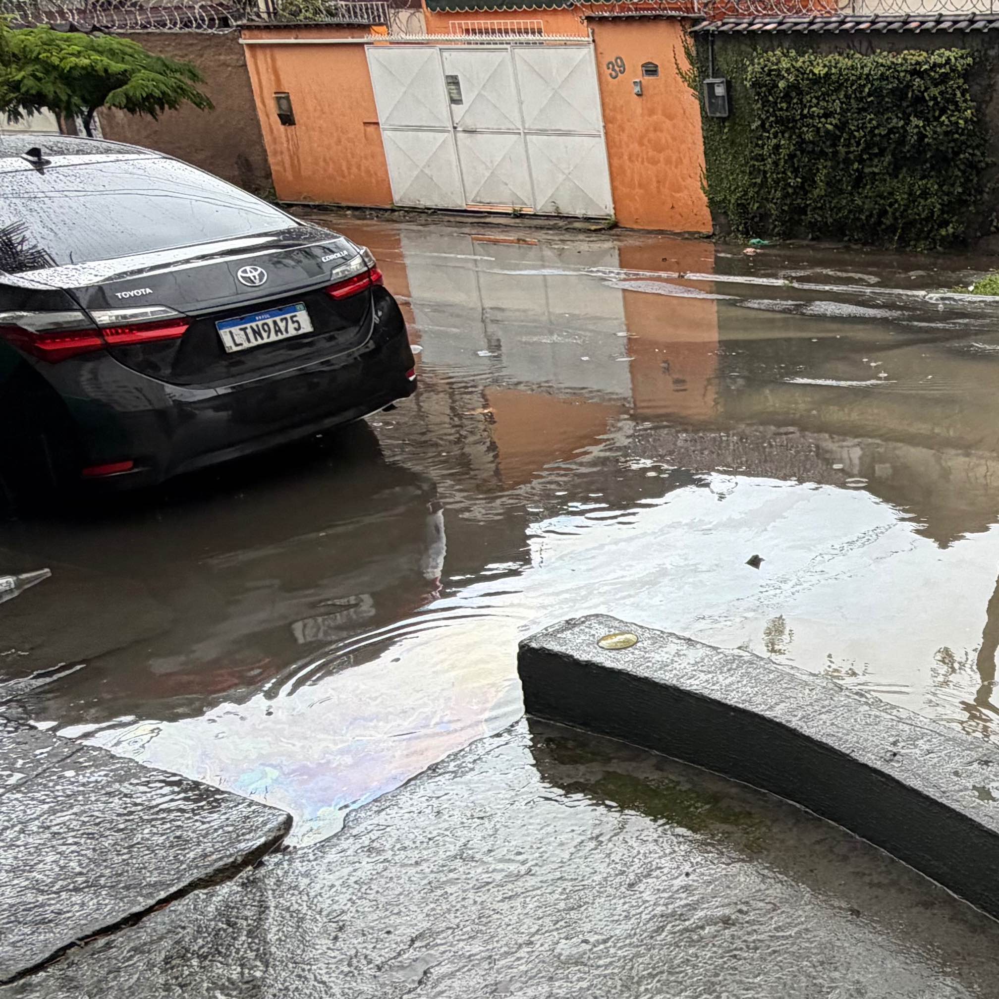 Imagem da publicação