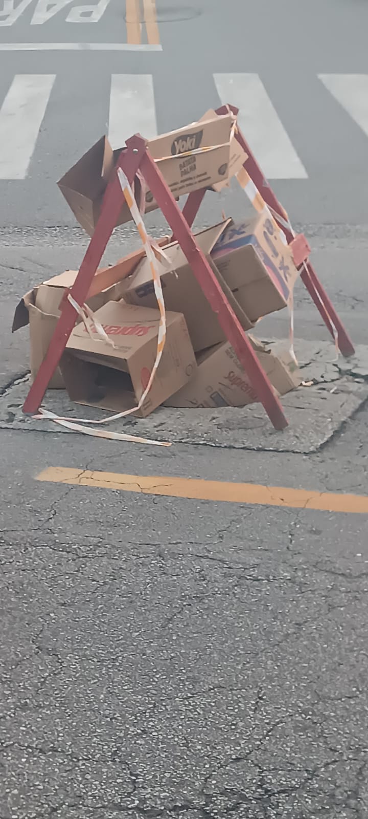 Imagem da publicação