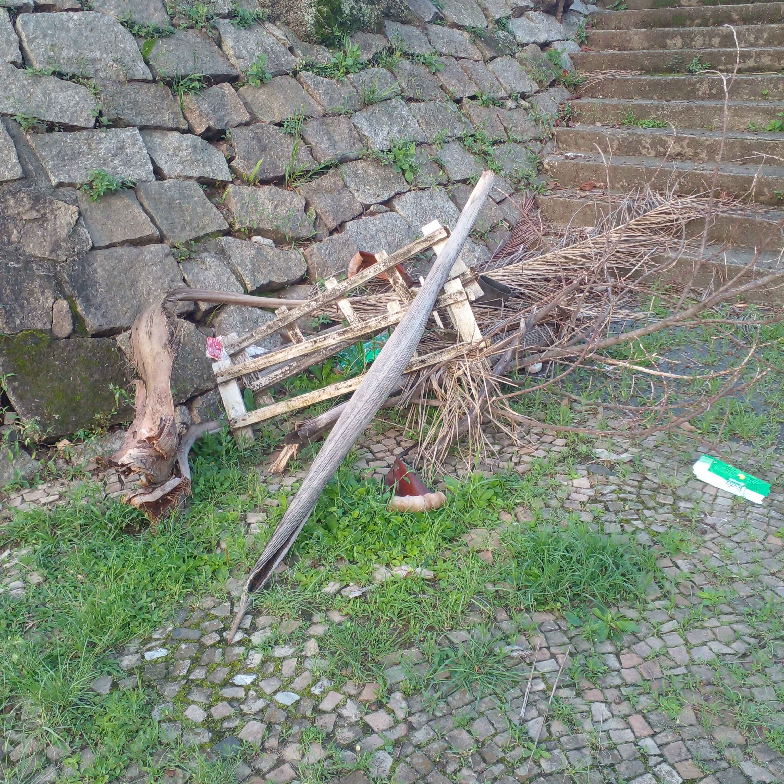 Imagem da publicação