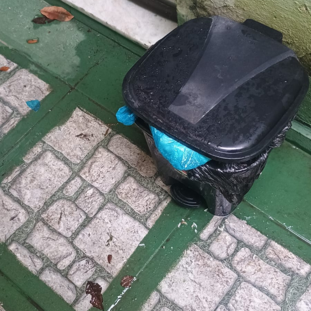 Imagem da publicação