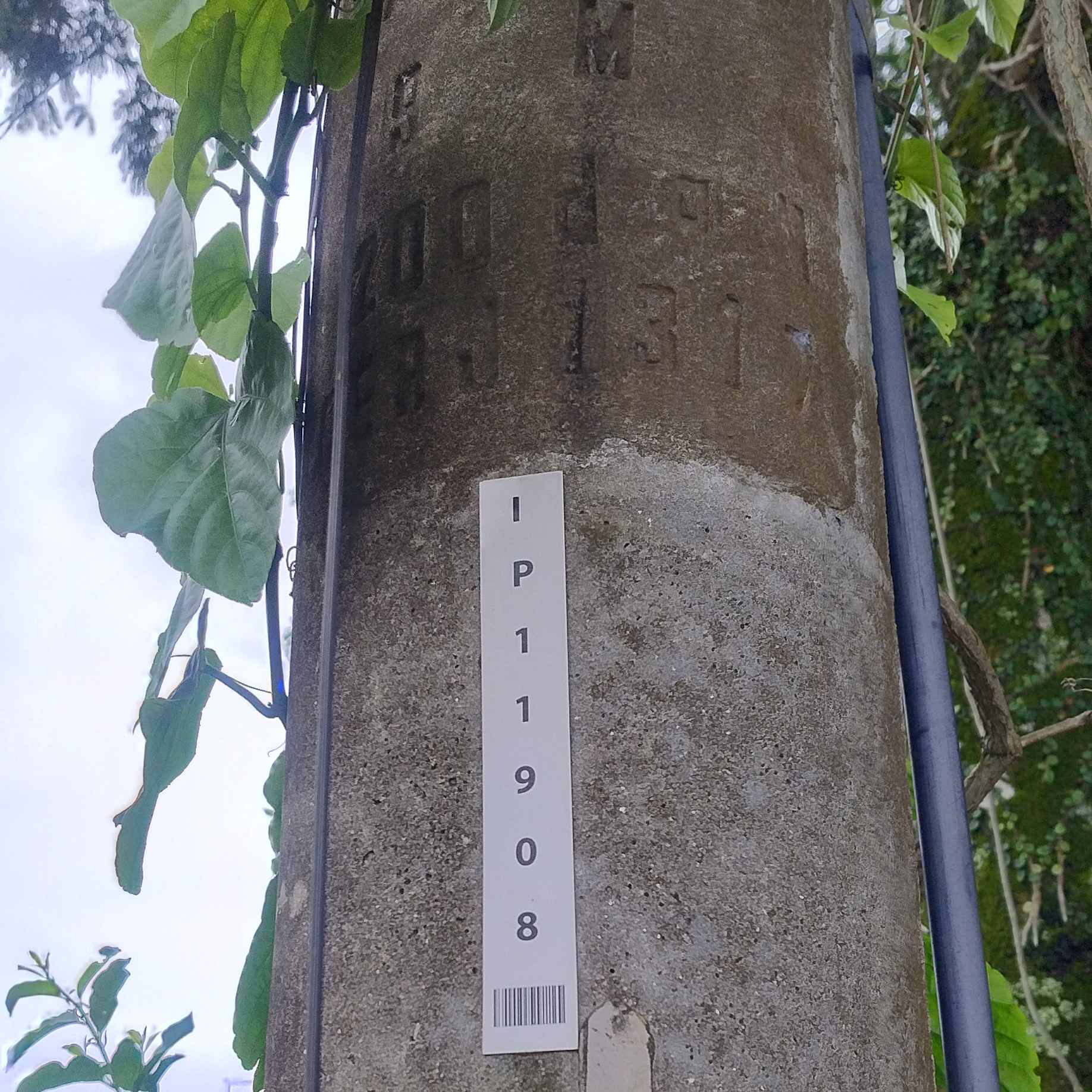 Imagem da publicação