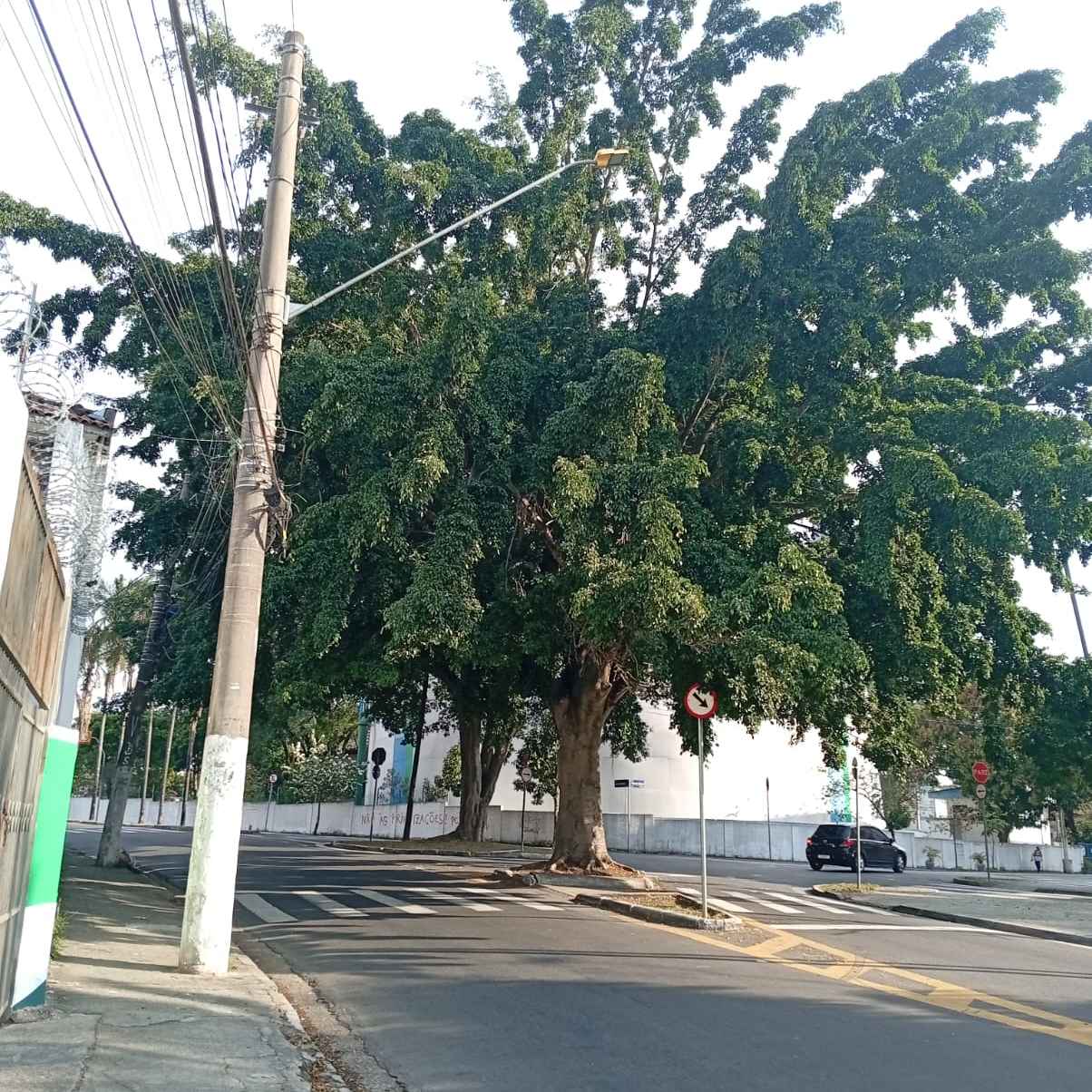 Imagem da publicação