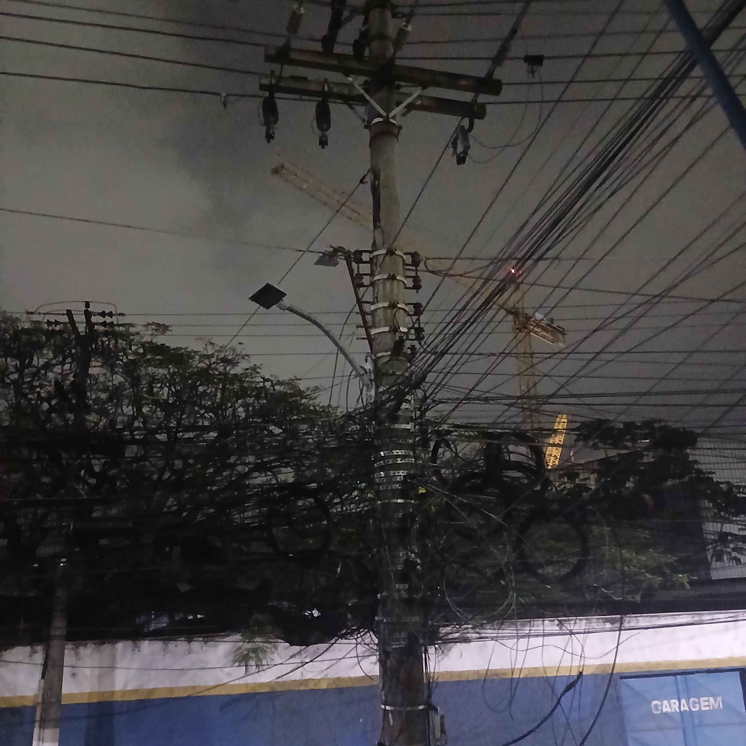 Imagem da publicação