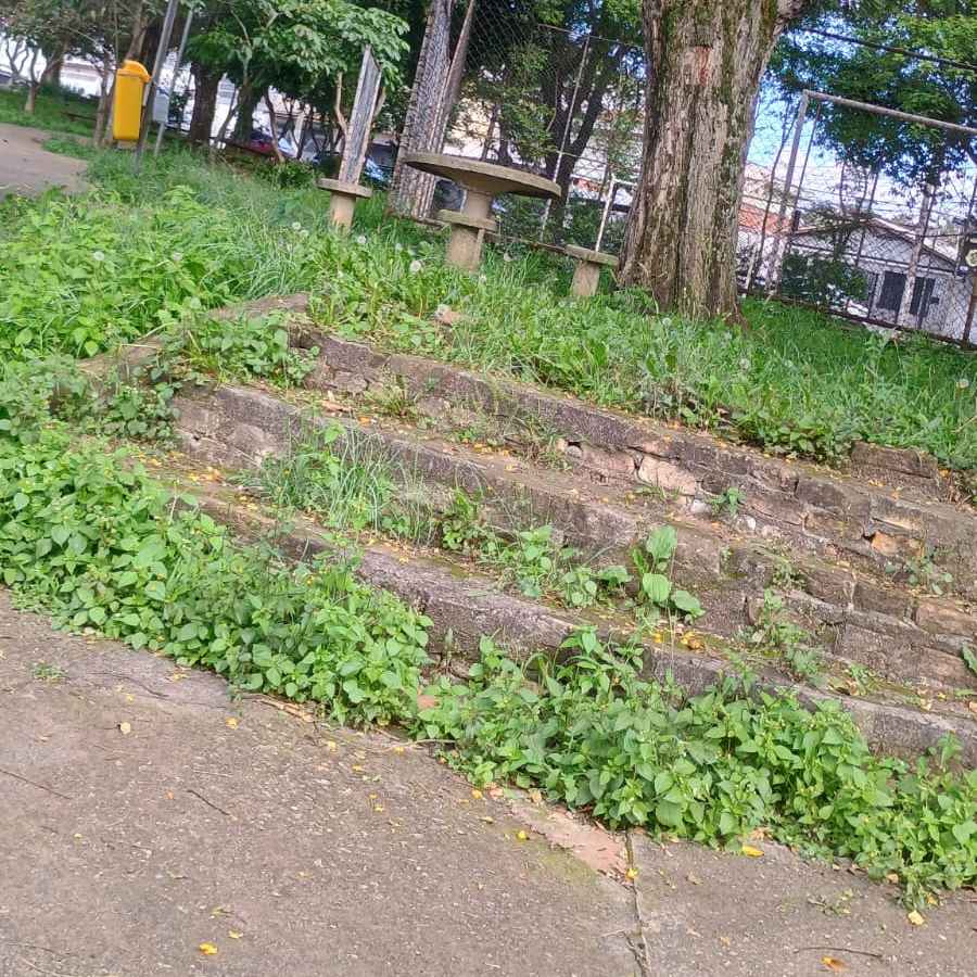 Imagem da publicação