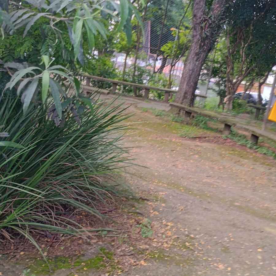 Imagem da publicação