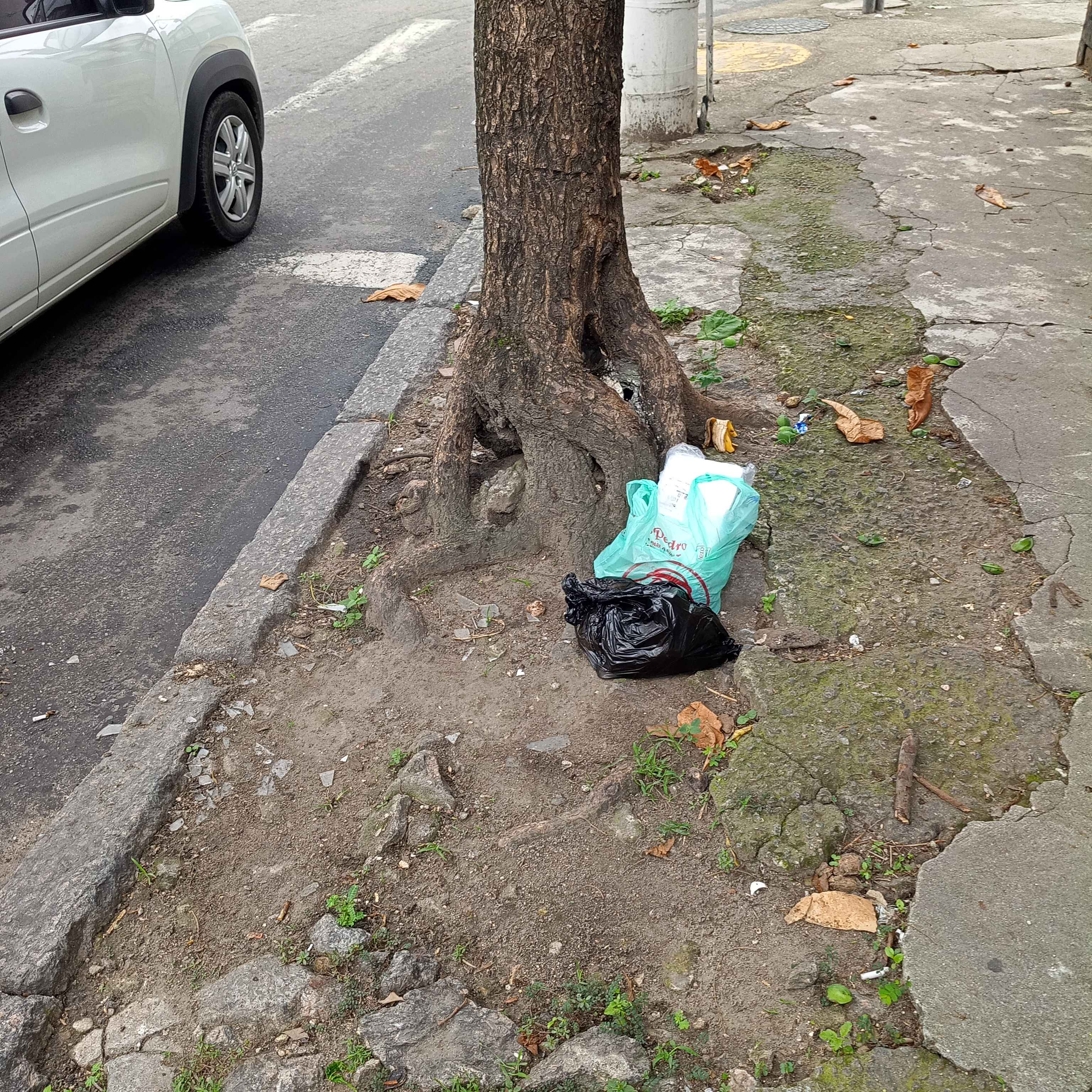 Imagem da publicação